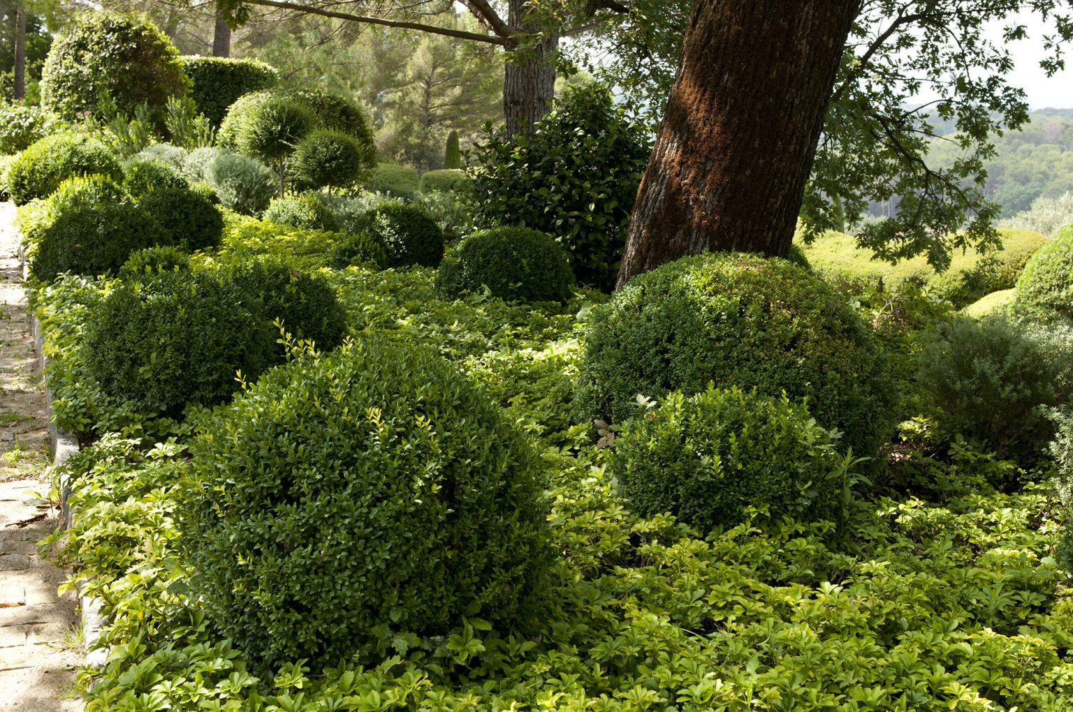 Perspective garden in Provence – Atelier Hervé Meyer